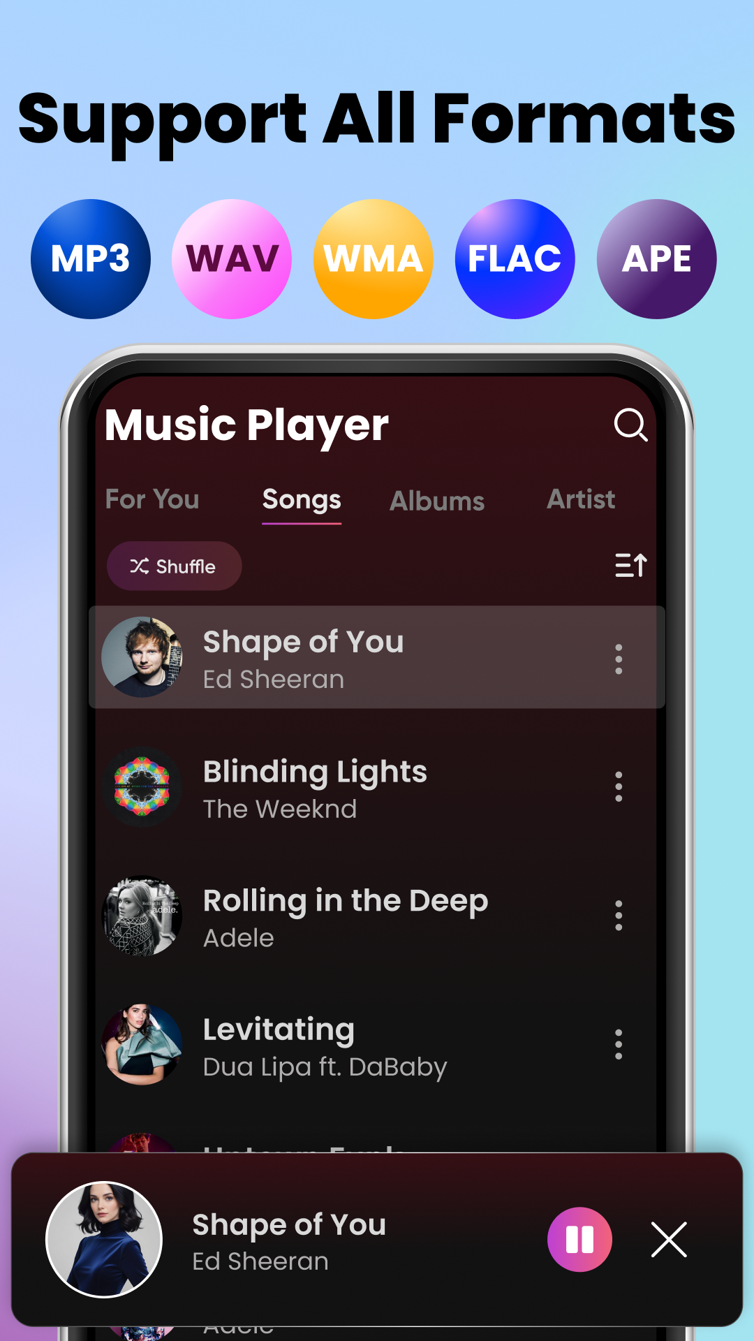 Music Player supports multiple audio formats